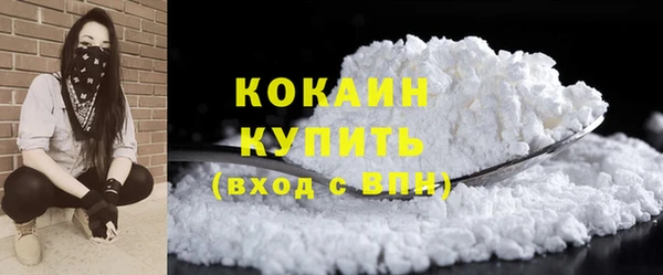 PSILOCYBIN Лихославль