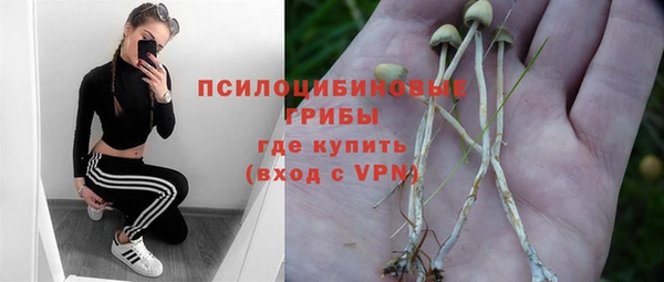дживик Липки