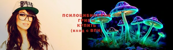 шишки Вяземский