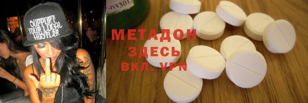 прущие грибы Новый Уренгой