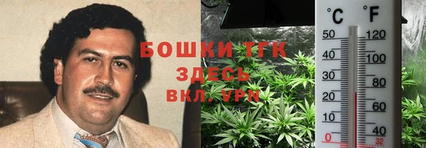 PSILOCYBIN Лихославль